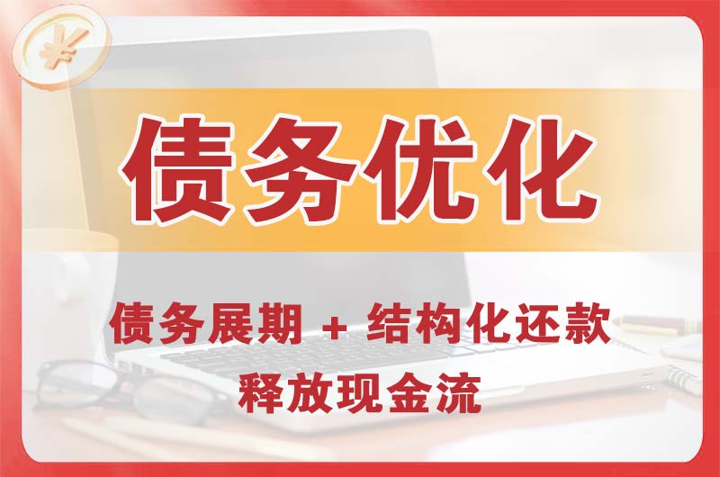庐阳债务优化