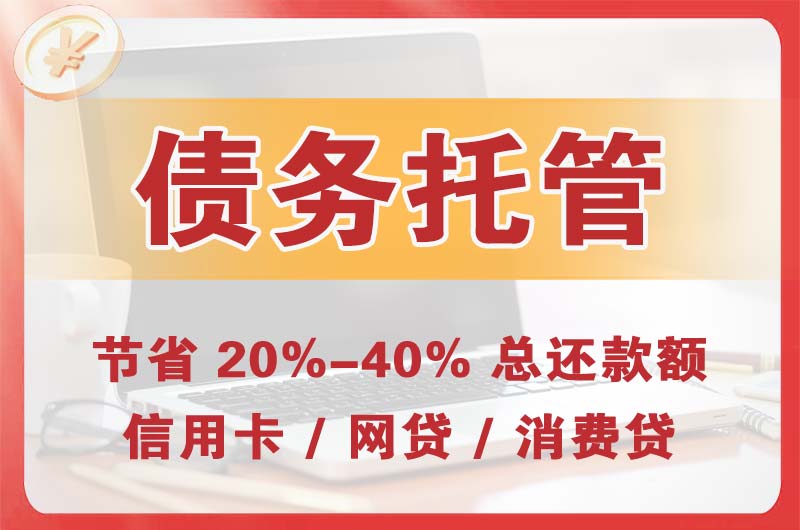 庐阳债务托管